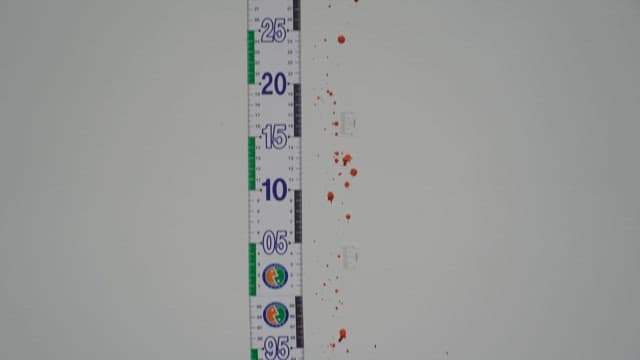 Measuring tape for examining bloodstains on walls