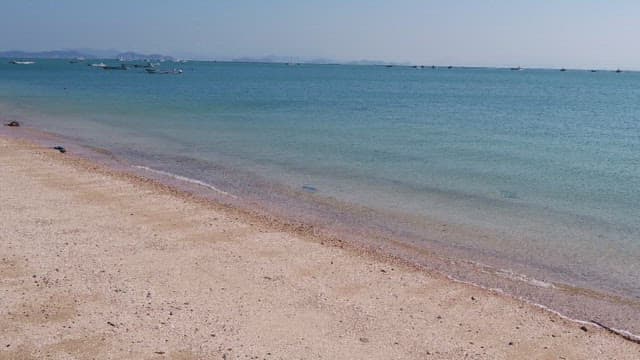 Tranquil beach with gentle waves