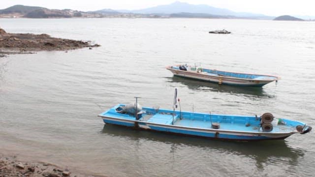 Coastal scene with moored blue boats