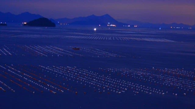 Sunset over the sea with a fish farm
