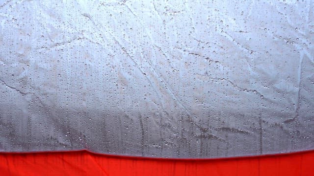 Raindrop-covered tent wall on a rainy day
