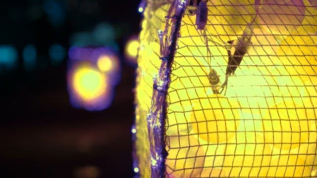 Bright Yellow Lights at night