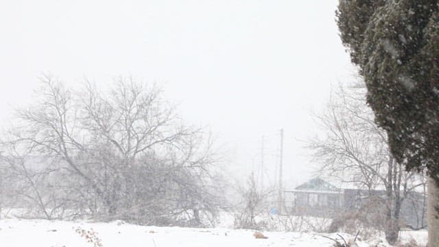 Wintry Landscape with Snowfall and Bare Trees