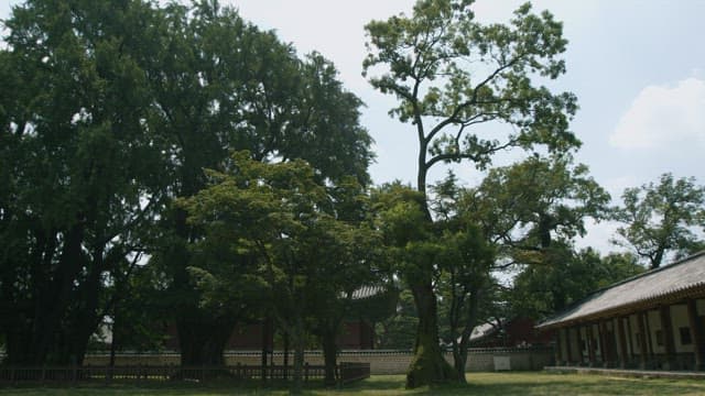 Traditional Architecture Amidst Tranquil Nature