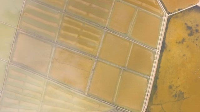 Vast salt pans near the peaceful sea on a sunny day