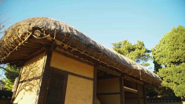 Traditional Thatched Roof House Among Trees