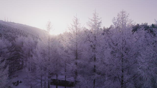 Snow-Covered Mountain Landscape at Dawn