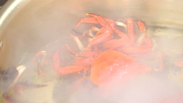Red crabs boiling in a pot