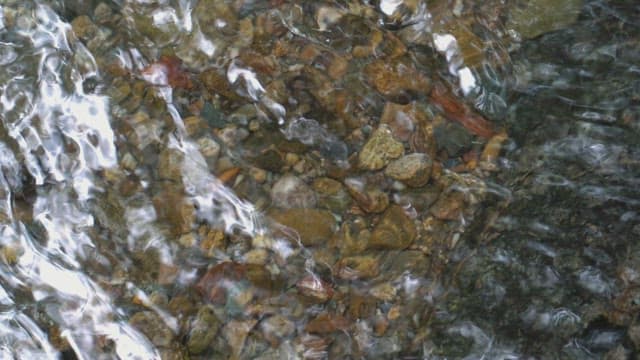 Clear stream flowing over pebbles
