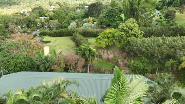 Nature full of greenery of mountains and forests