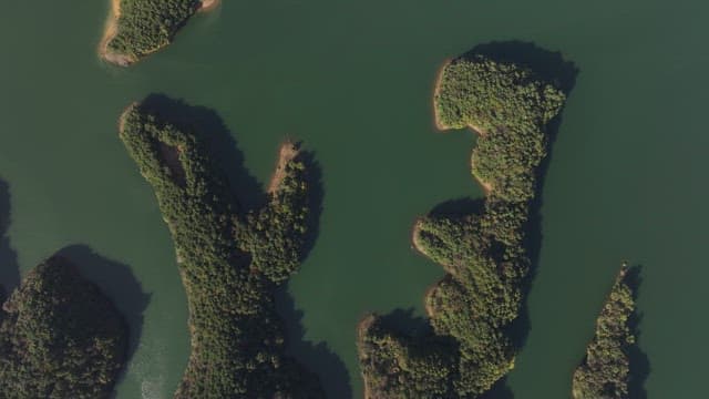 Serene Lakes Amidst Rolling and Lush Forested Hills