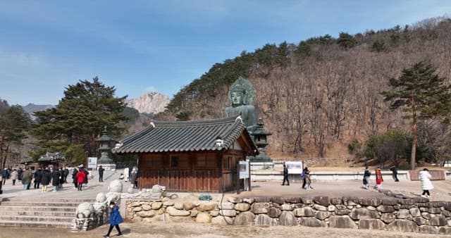 Serene Buddhist Temple with Magnificent Buddha Statue