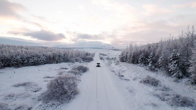 Car driving through a snowy forest