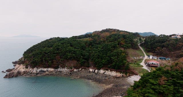 Serene Coastal Landscape with Forest and Sea