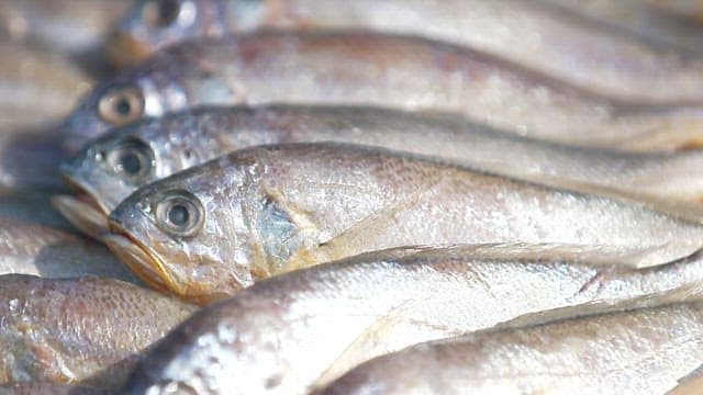 Freshly caught fish presented in a wicker basket.