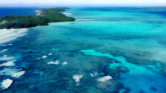 Aerial view of a tropical island and sea