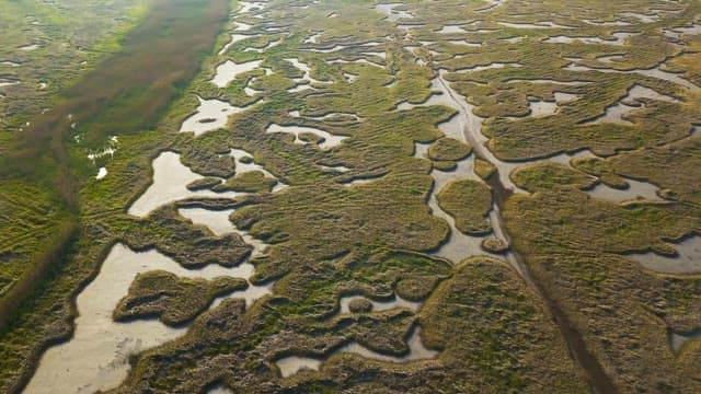 Scenery of wide open fields
