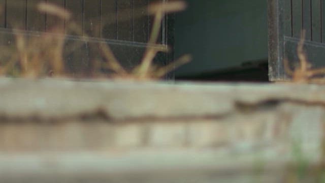 Person Entering a Building on a Sunny Day