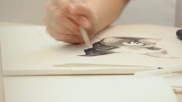 Drawing a detailed portrait of dog with a pencil indoors