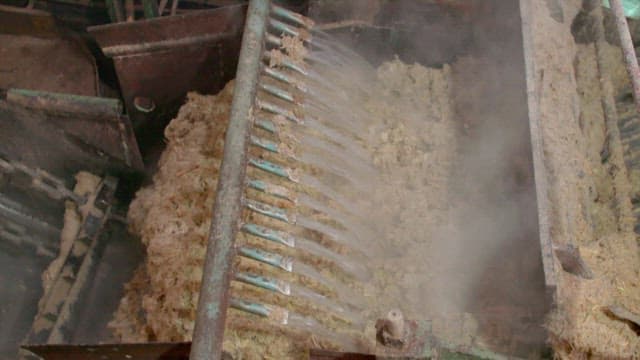 Machinery processing raw material, sugarcane in a factory