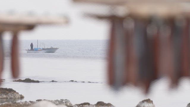 Fish drying on the rack near the waterfront