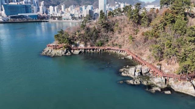 Coastal cityscape with lush island and boats