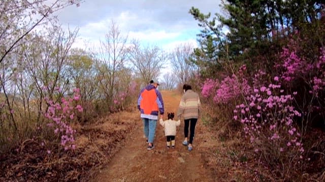 Family Walk Among Spring Blossoms