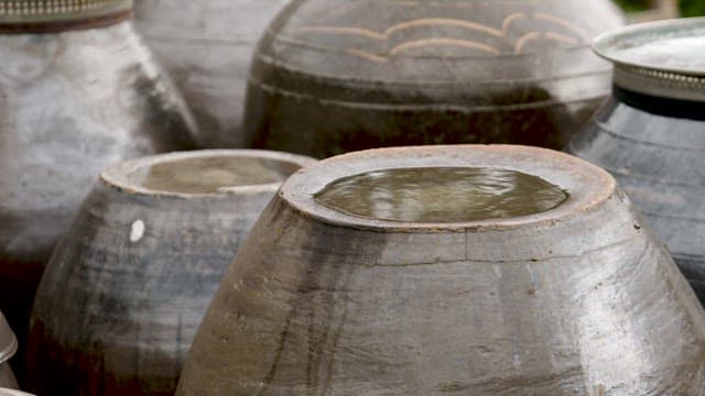 Rainwater on the Dented Crock Pot Lid