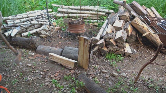 Chopping firewood in a backyard setting