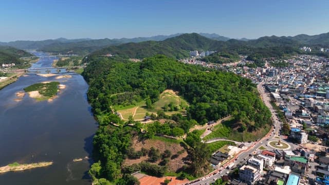 Lush green forest with a city in the background