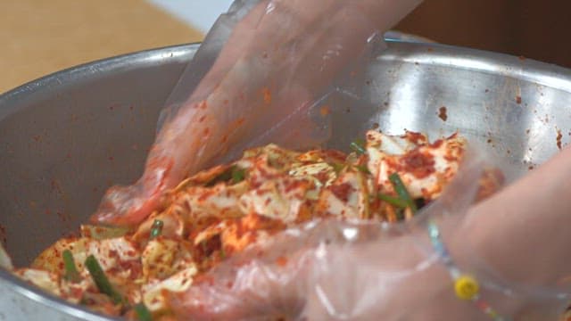Someone making fresh kimchi with cabbage in a metal bowl with gloves