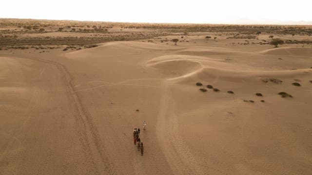 Camels and people crossing a vast desert
