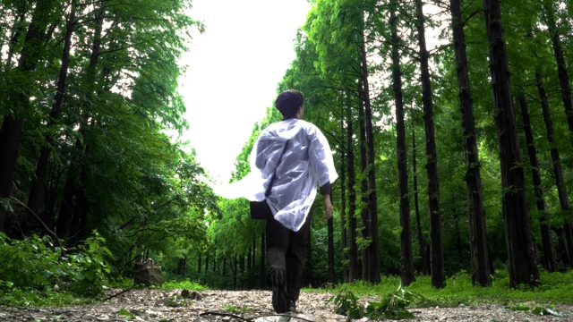 Person walking through a lush green forest