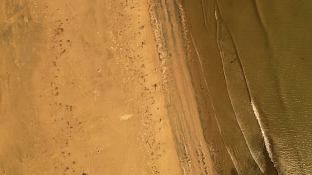 Golden beach with gentle waves