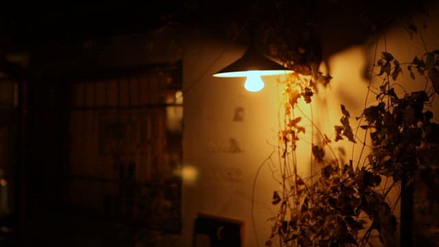 Illuminated Lamp Among Foliage in front of Building at Night