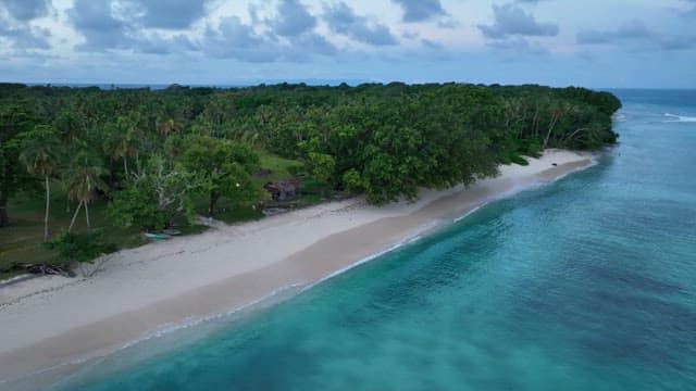 Serene beach with a small hut and lush trees
