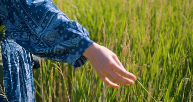 Walking Through a Vibrant Green Field Filled with Grass