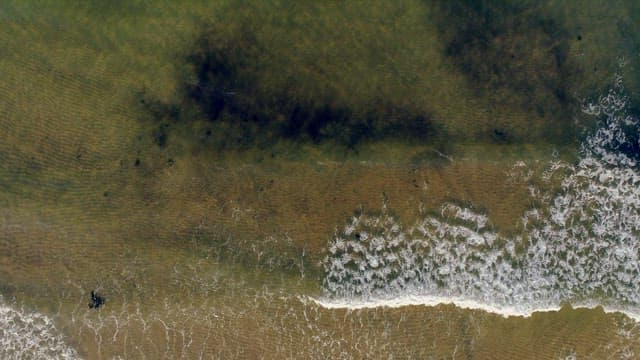 Sea Waves on Sandy Shore
