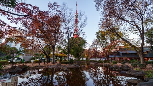 City park with a tower and autumn trees