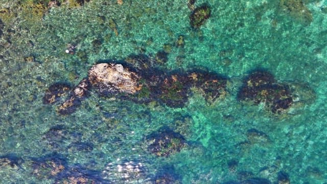 Clear ocean water with rocks and seaweed