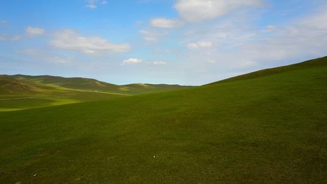 Vast green fields under a clear blue sky