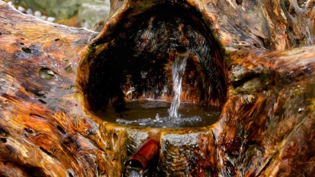 Flowing clean and clear water in a rustic wooden gouge