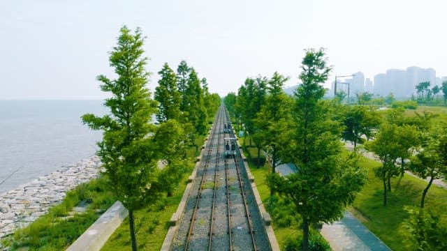 People Riding Rail Bikes on the Beach