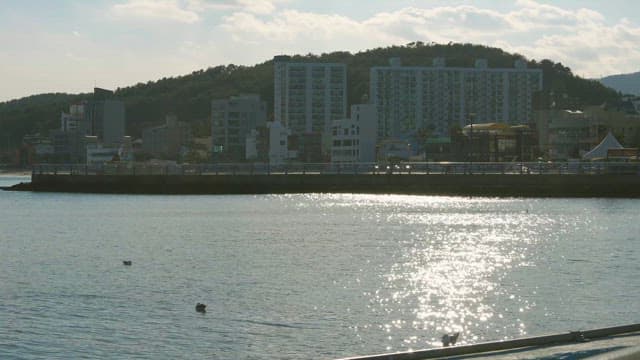 Tranquil Seaside City in Sunlit Afternoon