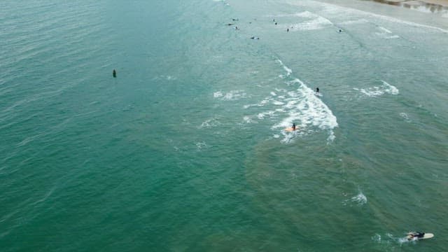 Surfers waiting for waves in the ocean