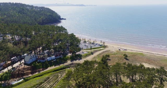 Serene beach with surrounding forest