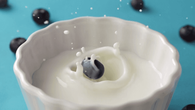 Blueberry falling into a bowl of milk