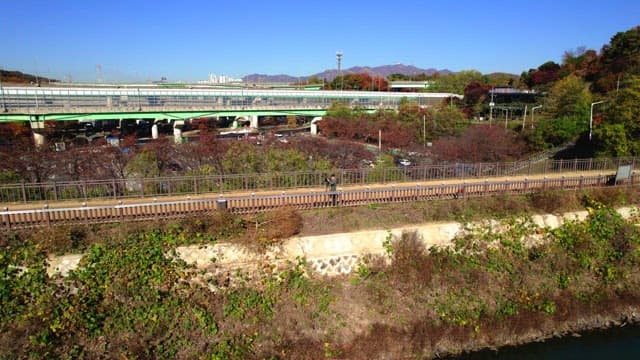 Baegunhosu Lake with a view of the busy highway and wooden walkway