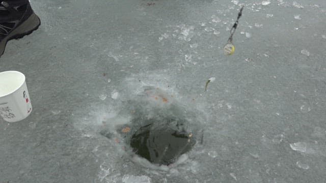 Ice fishing on a frozen lake with catching fish