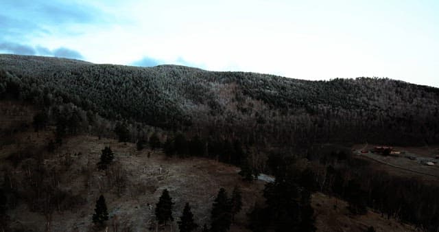 Vast forested mountain landscape